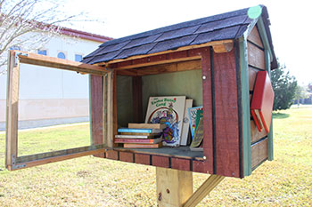 Little Library filled with books