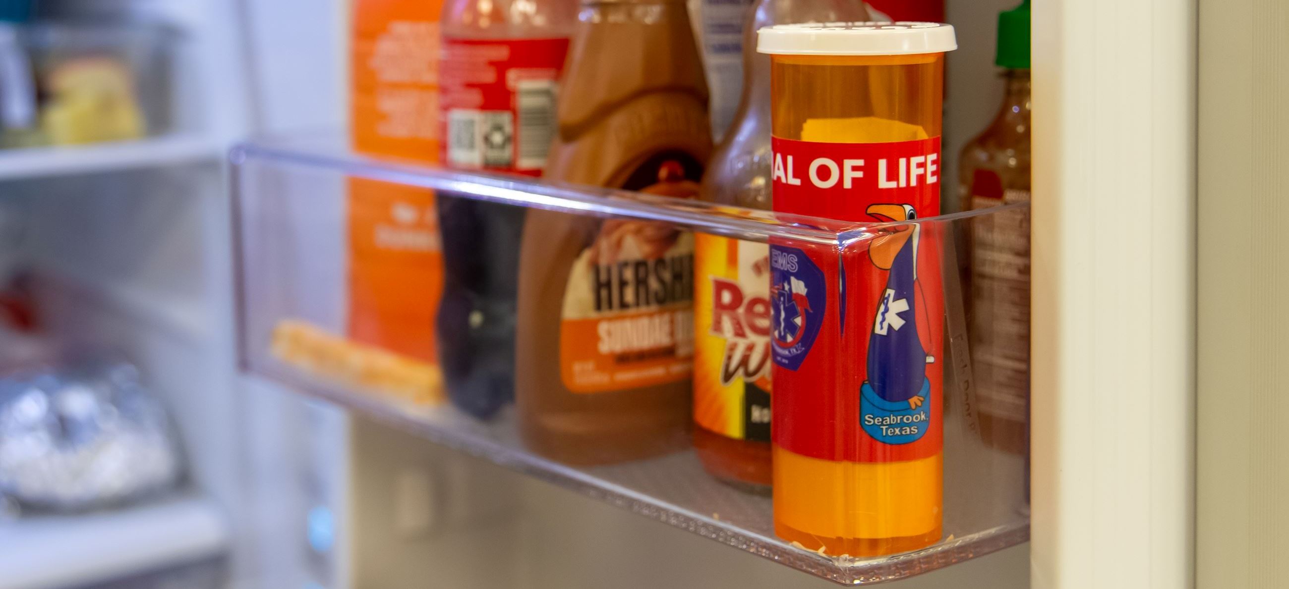 Vial of Life in the Fridge Door